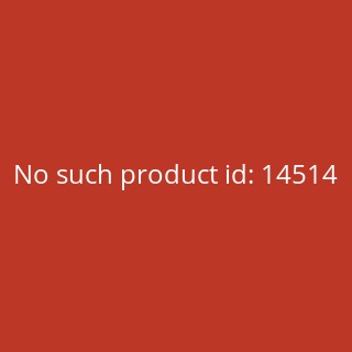 BionX D 250 Motor-Laufrad 28 mit Kassettenaufnahme,...