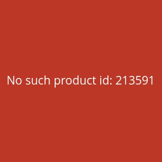 Riese+Mller Nevo4 GT vario Elektrorad 2023 43 cm (26) dynamic red metallic Komfort-Kit 625 Wh - GX-Option - Intuvia 100