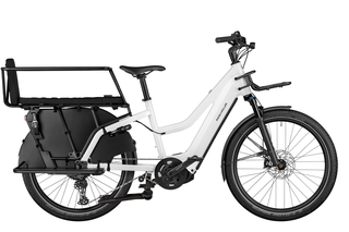 Riese&Müller Multicharger2 Mixte GT family Elektrorad 47...