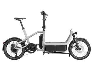 Riese&Mller Carrie touring Elektrorad, shadow, Purion 200, 545 Wh, RX Chip, Regenschutz, Basis-Box (Testrad)