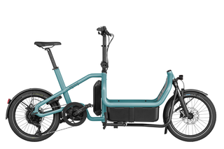 Riese&Mller Carrie touring Elektrorad, shadow, Purion 200, 545 Wh, RX Chip, Regenschutz, Basis-Box (Testrad)