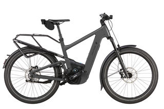 Riese&Müller Delite5 GT pinion Elektrorad 47 cm stone...
