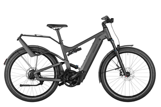 Riese&Mller Delite4 GT rohloff Elektrorad 51 cm urban grey matt Gepcktrger - 750 Wh - GX-Option - Kiox 500