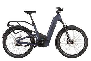 Riese&Mller Homage5 GT pinion Elektrorad 51 cm warm silver Gepcktrger - 800 Wh Offroad Kit Comfort Display (Testrad)