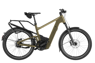 Riese&Mller Delite5 vario Elektrorad 47 cm amber Gepcktrger 800 Wh