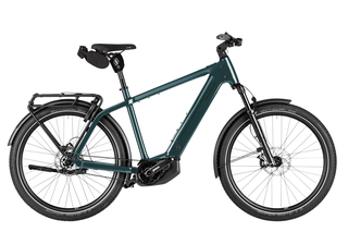 Riese&Mller Charger5 pinion Elektrorad 53 cm magnesium Comfort-Kit, Testrad: kein Verkauf vor 01.07.26