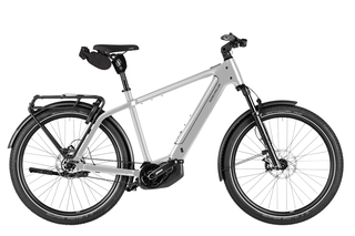 Riese&Mller Charger5 pinion Elektrorad 53 cm magnesium Comfort-Kit, Testrad: kein Verkauf vor 01.07.26
