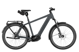 Riese&Mller Charger5 pinion Elektrorad 53 cm magnesium Comfort-Kit, Testrad: kein Verkauf vor 01.07.26