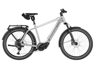Riese&Mller Charger5 touring Elektrorad 53 cm pine 800 Wh - Offroad Kit ABS 2.0 (Testrad, Verkauf ab 01.07.26)