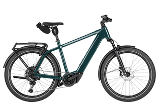 Riese&Mller Charger5 touring Elektrorad 53 cm pine 800 Wh - Offroad Kit ABS 2.0 (Testrad, Verkauf ab 01.07.26)