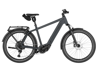Riese&Mller Charger5 touring Elektrorad 53 cm pine 800 Wh - Offroad Kit ABS 2.0 (Testrad, Verkauf ab 01.07.26)
