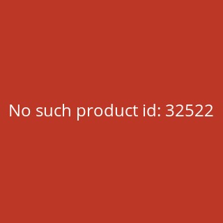 BionX D 250 DV Pedelec Nachrüstsystem RC3