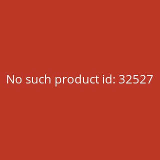 BionX D 250 RX Pedelec Nachrüstsystem RC3
